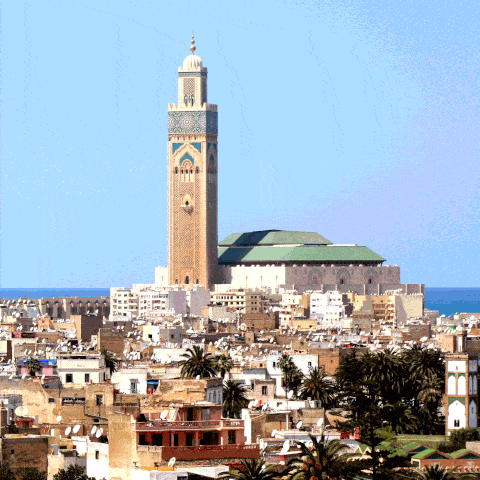 Blue one sex in Casablanca