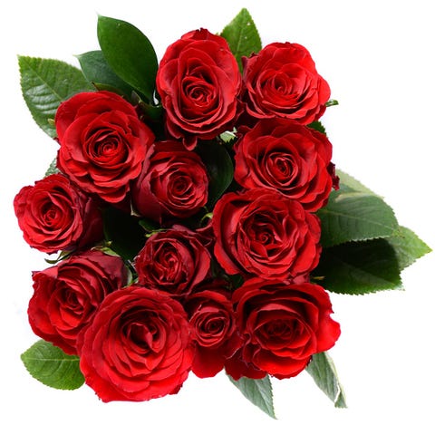 Red rose - Valentine's Day - red roses delivered