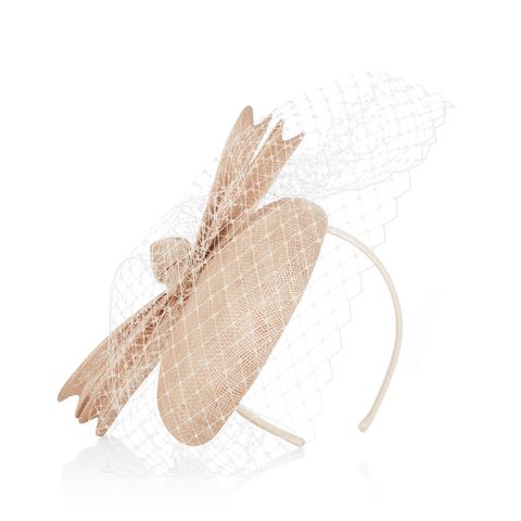 Feather, Wing, Beige, Natural material, Illustration, Drawing, 
