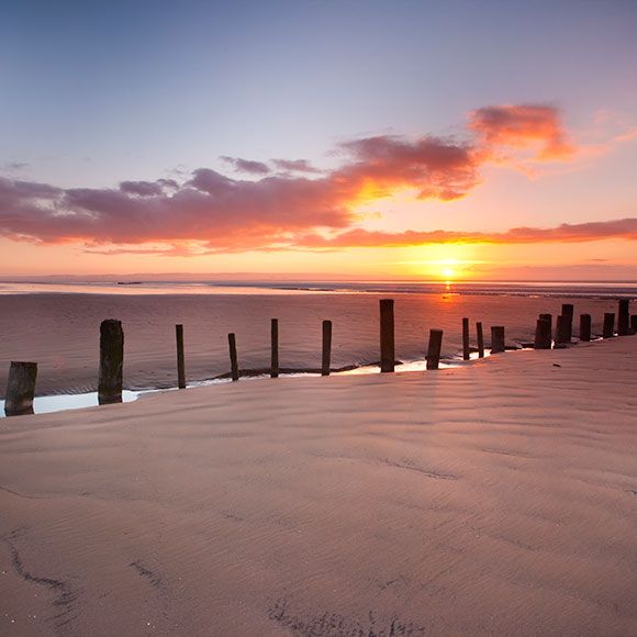 is burnham beach dog friendly