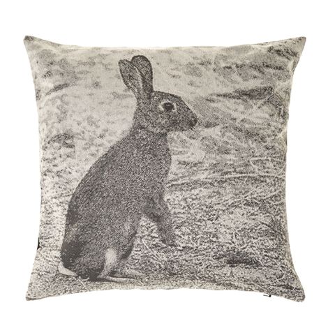 Rabbit, Mountain Cottontail, Rabbits and Hares, Hare, Adaptation, Domestic rabbit, Throw pillow, Terrestrial animal, Linens, Pillow, 