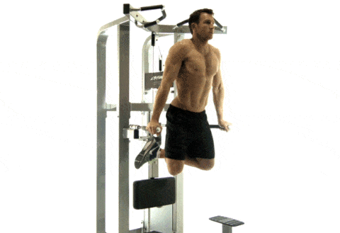 This is the good lower chest workout