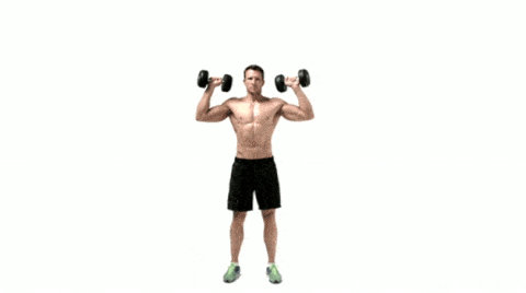 How To Get The V Shape Shoulder And Back Muscles