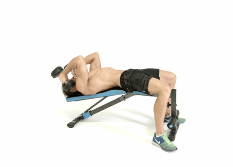 dumbbell-pullover.gif