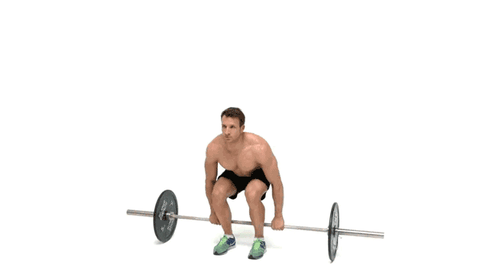 The Hack Lift