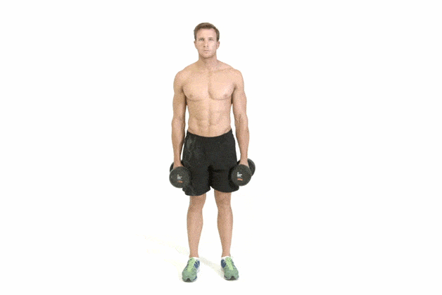 dumbbell weight exercises