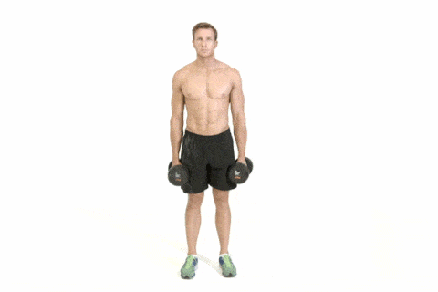 15 Minute Dumbbell Workout
