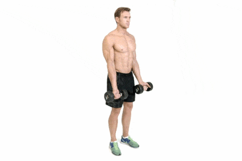 Standing, Arm, Shoulder, Exercise equipment, Weights, Human leg, Joint, Knee, Leg, Muscle, 