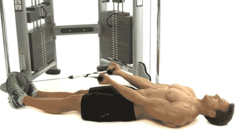 Shoulder, Abdomen, Arm, Leg, Joint, Muscle, Exercise, Human body, Physical fitness, Chest, Shoulder, Abdomen, Arm, Leg, Joint, Muscle, Exercise, Human body, Physical fitness, Chest,