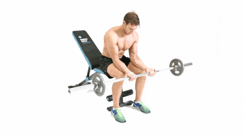 Human leg, Elbow, Exercise equipment, Weights, Wrist, Standing, Exercise, Physical fitness, Knee, Chest, 
