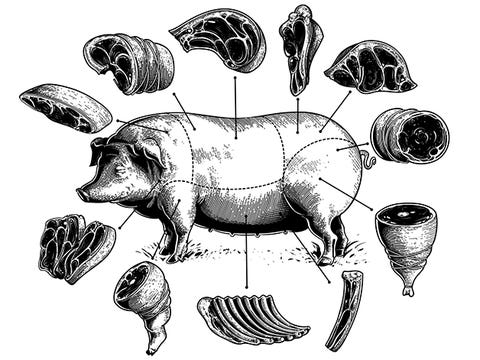 Drawing, Line art, Illustration, Sketch, Black-and-white, Organism, Bovine, Art, Carte de colorat, Style, 