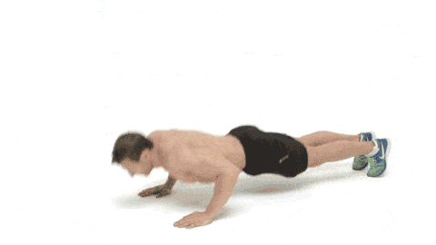 Press up, Arm, Abdomen, Joint, Shoulder, Leg, Trunk, Chest, Physical fitness, Plank, 