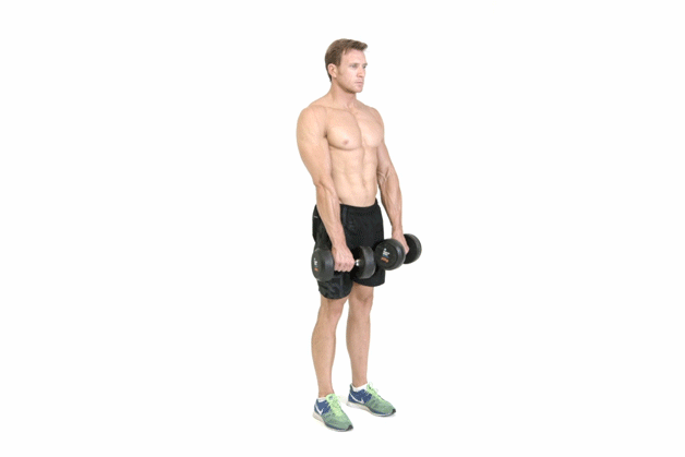 Deadlift - Peso muerto