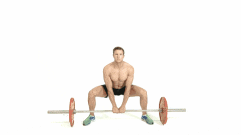 This Workout Will Build Size And Muscle In 60 Days