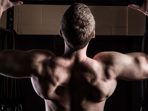 The Best Back Workout Finishers The Best Back Workout Finishers