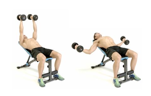 human leg, shoulder, weights, elbow, exercise equipment, physical fitness, joint, wrist, chest, knee,