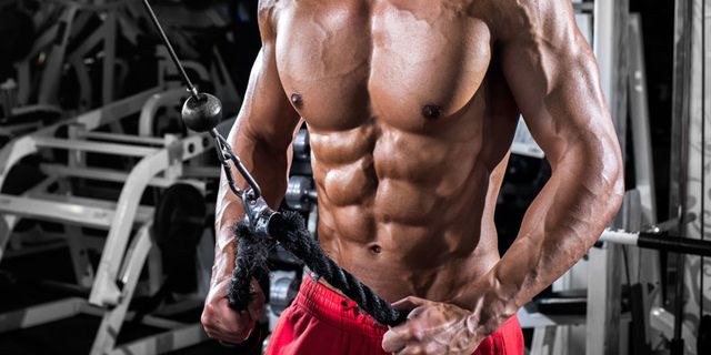 Chest workout perfect A Brutal
