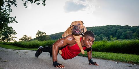 Muscle, Physical fitness, Press up, Recreation, Canidae, Dog breed, Exercise, Photography, Sports, Sports training, 