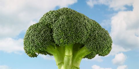 Broccoli, Leaf vegetable, Cruciferous vegetables, Vegetable, Plant, wild cabbage, Grass, Botany, Tree, Flower, 