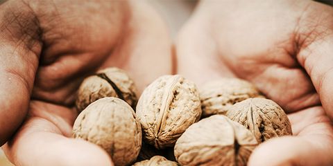 Walnut, Nut, Hand, Nuts & seeds, Food, Plant, Finger, Produce, 