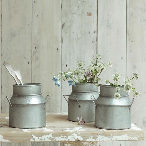Flowerpot, Still life photography, Houseplant, Cylinder, Pottery, Annual plant, Vase, 