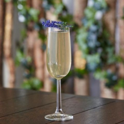 BEST PROSECCO COCKTAILS