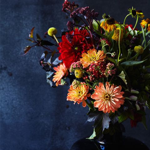 Petal, Flower, Bouquet, Floristry, Cut flowers, Flower Arranging, Flowering plant, Still life photography, Orange, Floral design, 