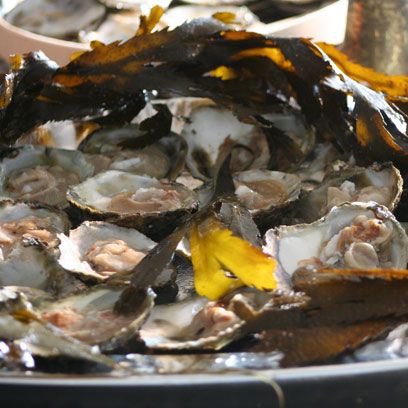 Food, Bivalve, Amber, Ingredient, Seafood, Shellfish, Natural material, Molluscs, Oyster, Shell, 