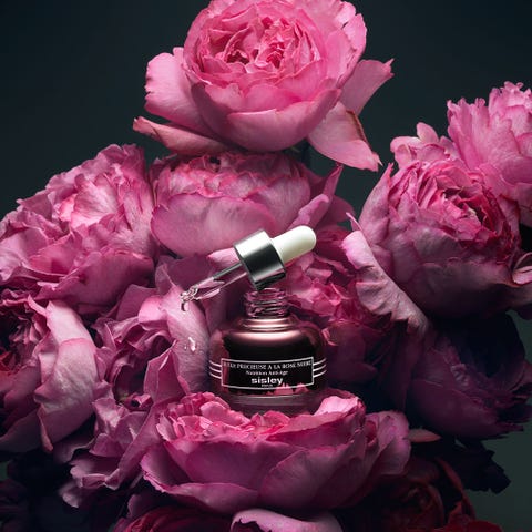 sisley moisturiser redonline gregson nourishing creams