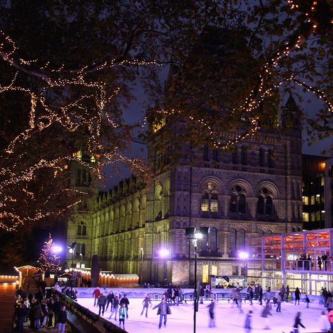 Landmark, Winter, Tree, Ice skating, Architecture, Metropolitan area, Lighting, Light, Night, Christmas lights, 