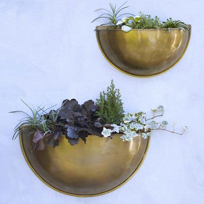 Leaf, Botany, Interior design, Artifact, Vase, Flowerpot, Serveware, Still life photography, Natural material, Flowering plant, 