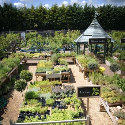 Plant, Garden, Plant community, Shrub, Landscape, Botany, Gazebo, Groundcover, Landscaping, Yard, 