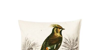 Bird, Feather, Beak, Botany, Wing, Art, Teal, Painting, Illustration, Creative arts, 