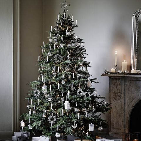 Christmas tree, Christmas decoration, Colorado spruce, Tree, White, Christmas, Branch, Christmas ornament, Plant, Spruce, 