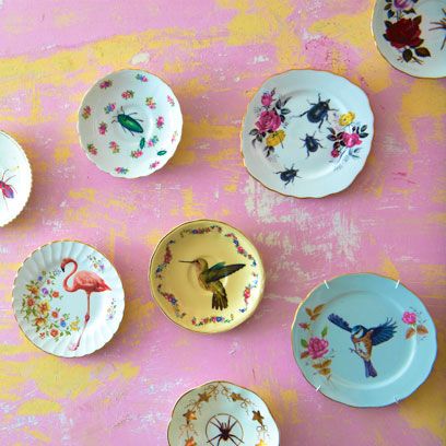 porcelain plates to decorate