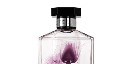 Product, Perfume, Liquid, Glass, Bottle, Fluid, Glass bottle, Barware, Purple, Violet, 