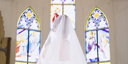 Bridal clothing, Bridal veil, Veil, Photograph, Dress, Bride, Wedding dress, Gown, Flowerpot, Petal, 