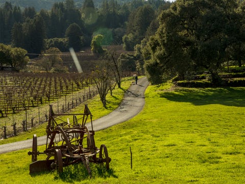 Uma vista do Rancho de Beleza, agora chamado Jack London State Historic Park.