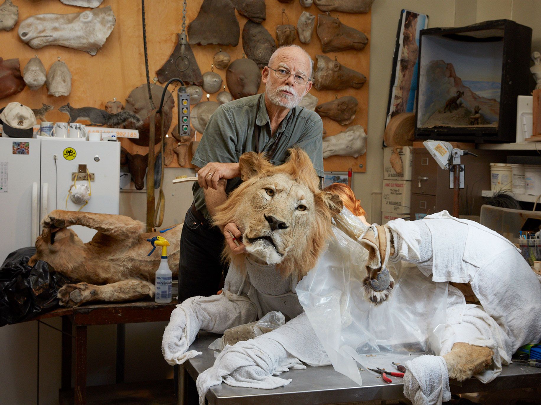 The Last of the Taxidermists