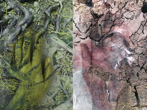 artwork by ashwini bhat is designed to complement forrest gander's poem