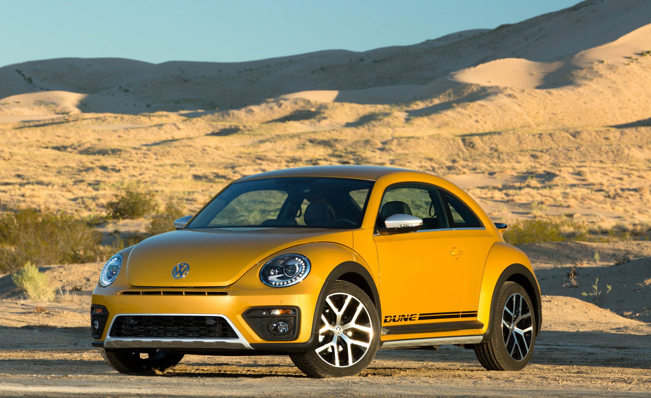 Beetle Dune front face