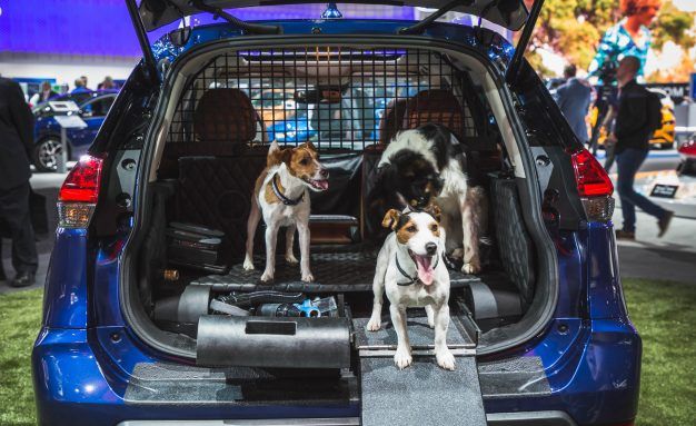 Nissan Brings Rogue Dogue to New York Auto Show | News | Car and Driver Nissan Brings Rogue Dogue to New York Auto Show | News | Car and Driver