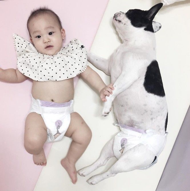 Child, Skin, Toddler, Canidae, Leg, Baby, Companion dog, Non-Sporting Group, Fawn, Ear, 