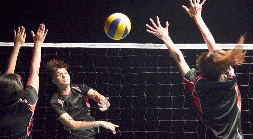 Volleyball, Sports, Volleyball, Ball game, Volleyball player, Net sports, Volleyball net, Team sport, Player, Sports equipment, 