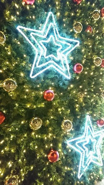 Green, Christmas decoration, Event, Christmas ornament, Christmas eve, Christmas tree, Christmas, Holiday ornament, Holiday, Interior design, 