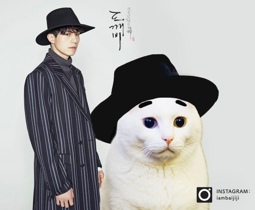 Collar, Sleeve, Hat, Dress shirt, Felidae, Formal wear, Small to medium-sized cats, Carnivore, Facial expression, Style, 