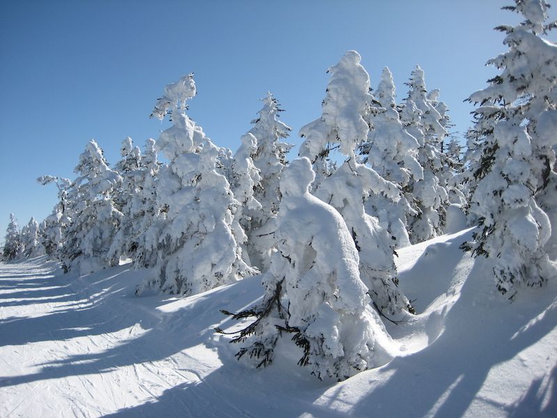 Winter, Blue, Freezing, Snow, Slope, Ice cap, Glacial landform, Conifer, Frost, Precipitation, 