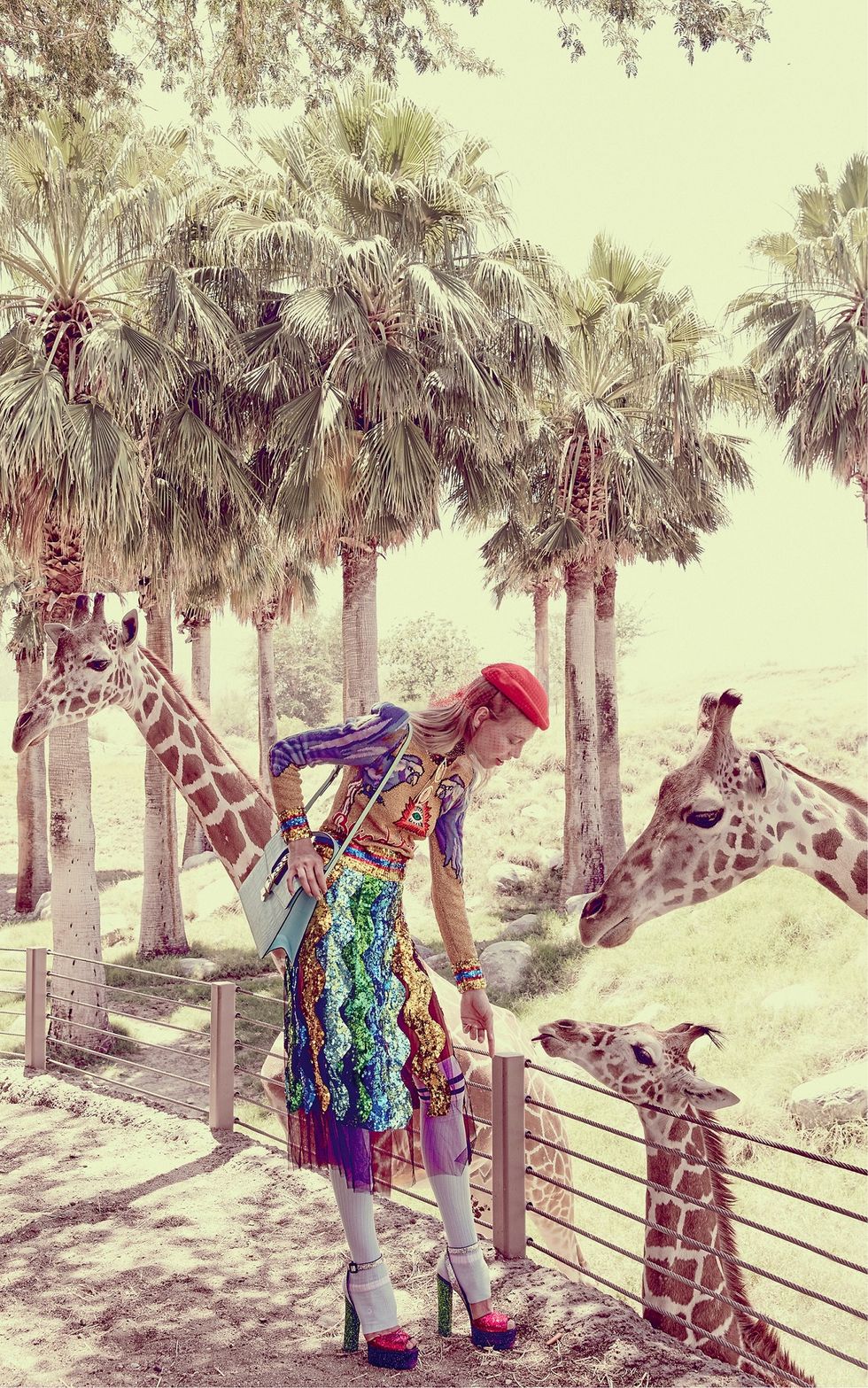 People in nature, Dress, Arecales, Woody plant, Street fashion, Magenta, Waist, Trunk, Palm tree, Tropics, 