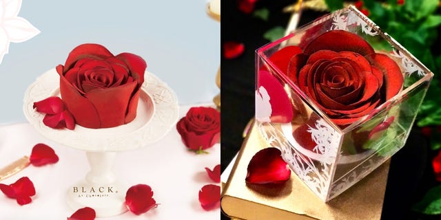 Garden roses, Red, Rose, Flower, Petal, Rose family, Hybrid tea rose, Valentine's day, Plant, Pink, 