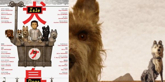 Yorkshire terrier, Canidae, Terrier, Companion dog, Cairn terrier, Berger picard, 
